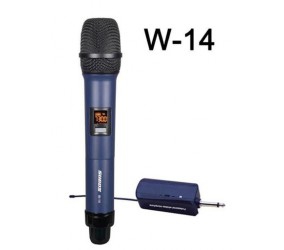 micro W14 ( phiên bản độ)